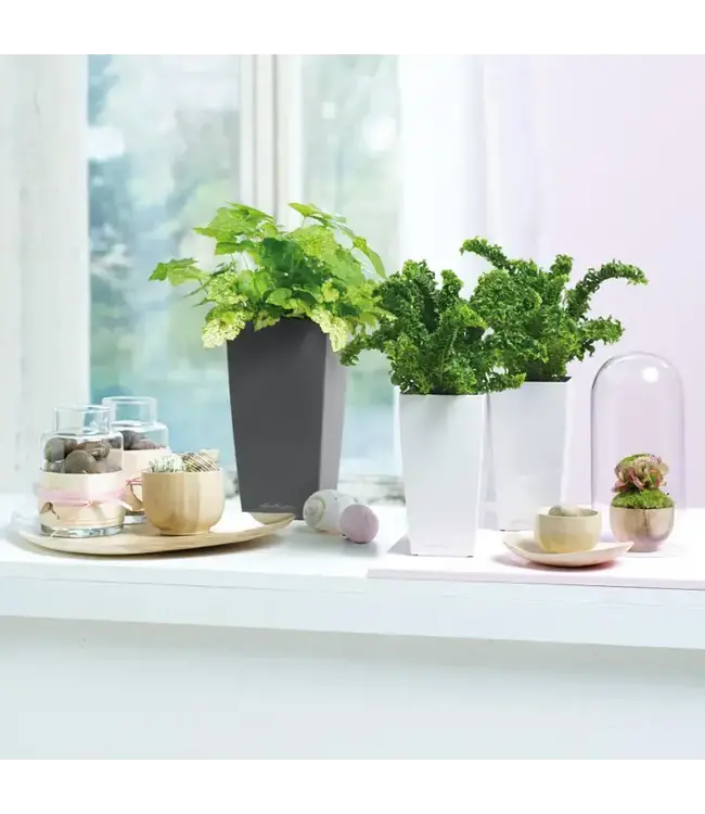 LECHUZA MINI-CUBI & MAXI-CUBI Poly Resin Tall Table Planter