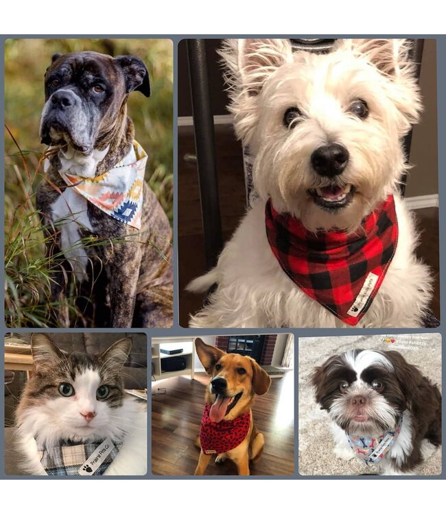 Pet Bandanas Tie up- S-XL