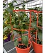 Patio Pepper Planter with Cage 12in [10]