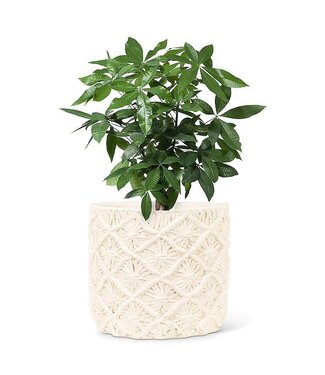 Abbott Collection Extra Large Macrame Style Planter