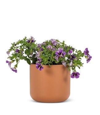 Abbott Collection Medium Classic Planter Terracotta