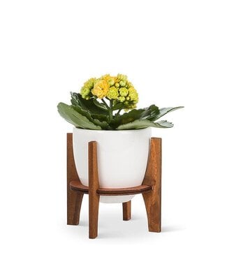 Abbott Collection Small Pot with Wooden Stand White