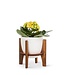 Abbott Collection Small Pot with Wooden Stand White