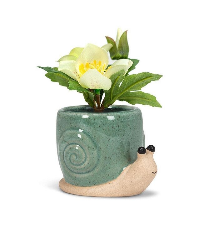 Mini Snail Planter
