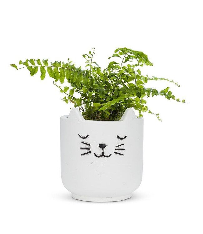 Small Sleeping Cat Planter