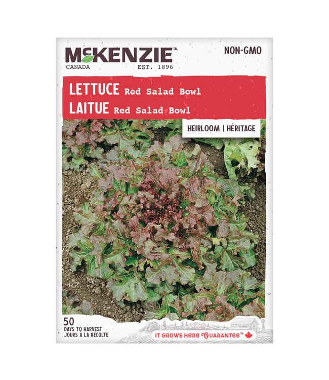 Mckenzie Lettuce Red Salad Bowl Seed Packet