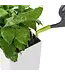 Pico Spout Extension