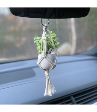 Hydrofarm Primitive Mini Car Hanger