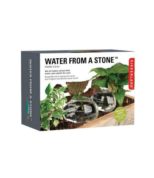 Water Rocks | Set of 2