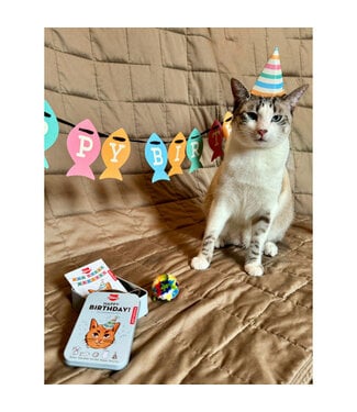 Kikkerland Designs Kiko Cat Happy Birthday Kit