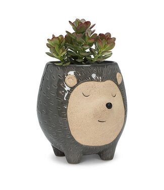 Abbott Collection Tall Grey Hedgehog Planter 5"H