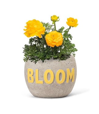 Abbott Collection Sm Bloom Planter 4"H