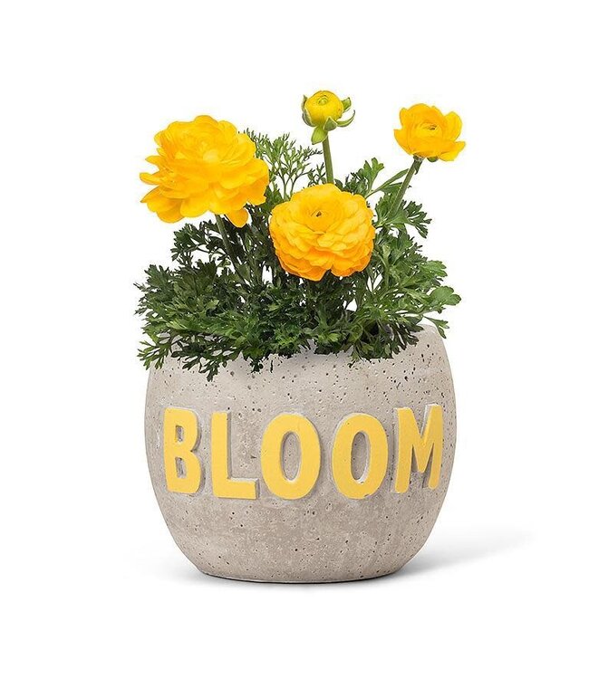 Sm Bloom Planter 4"H