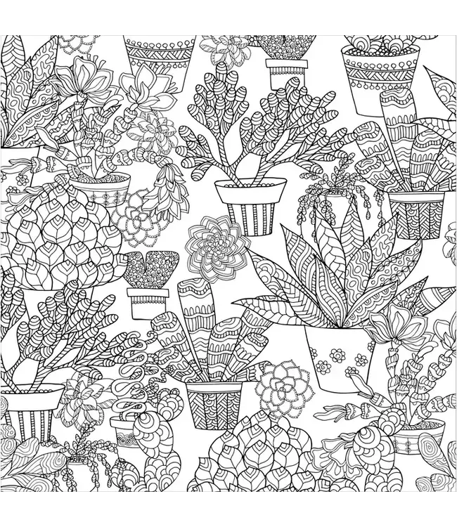 Succulents Adult Coloring Book