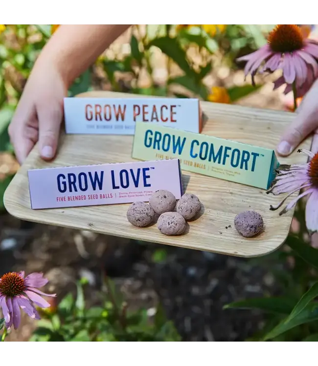 Bright Side Seed Balls