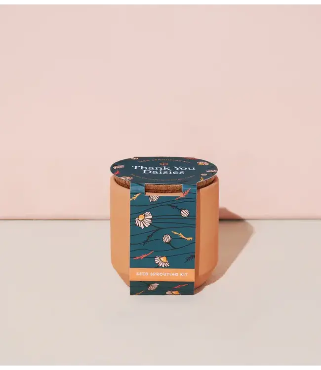 Tiny Terracotta Grow Kit