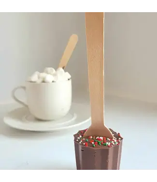 Oodles of Chocolate Peppermint Hotchocstic