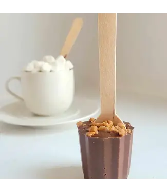 Oodles of Chocolate Salted Caramel Hotchocstic