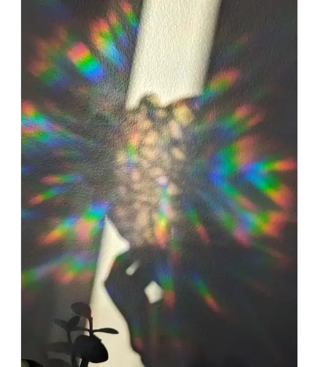 Monstera Leaf Suncatcher, Rainbow Window Cling