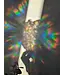 Monstera Leaf Suncatcher, Rainbow Window Cling