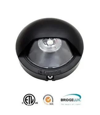 Luminiz 12V: FROSTED BUTTON STAINLESS STEEL BEVELED RING (COLD WHITE)