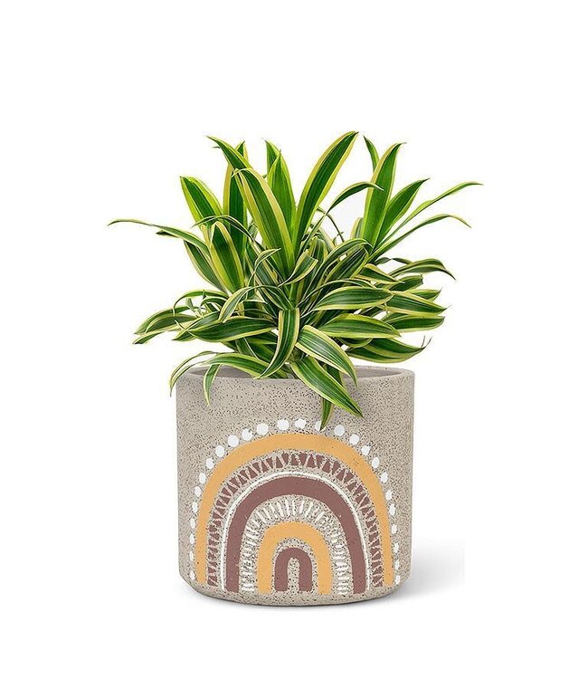 Medium Boho Rainbow Planter