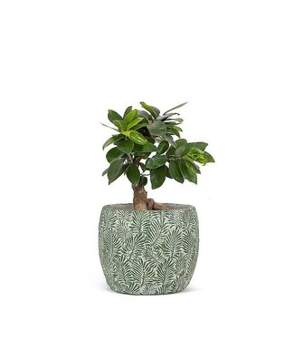 Abbott Collection Small Green Leaf Planter