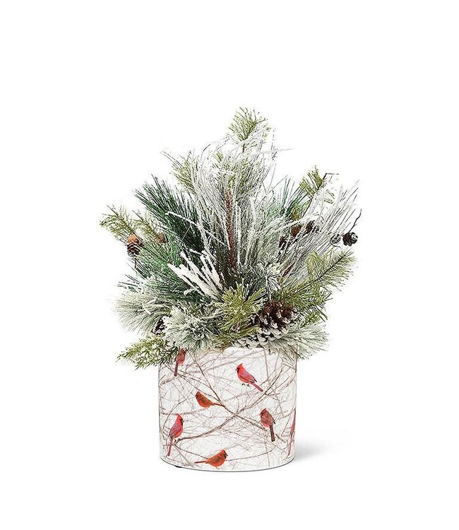 Small Cardinals in Bush Planter