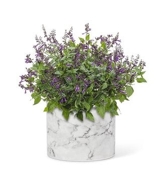Abbott Collection Small Marble Look Planter