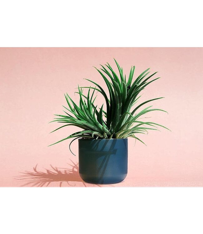 2X Large Classic Planter Dark Blue