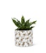 Small Flying Bees Planter