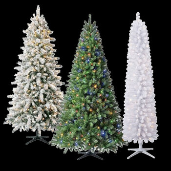 Christmas Trees (Live & Artificial)