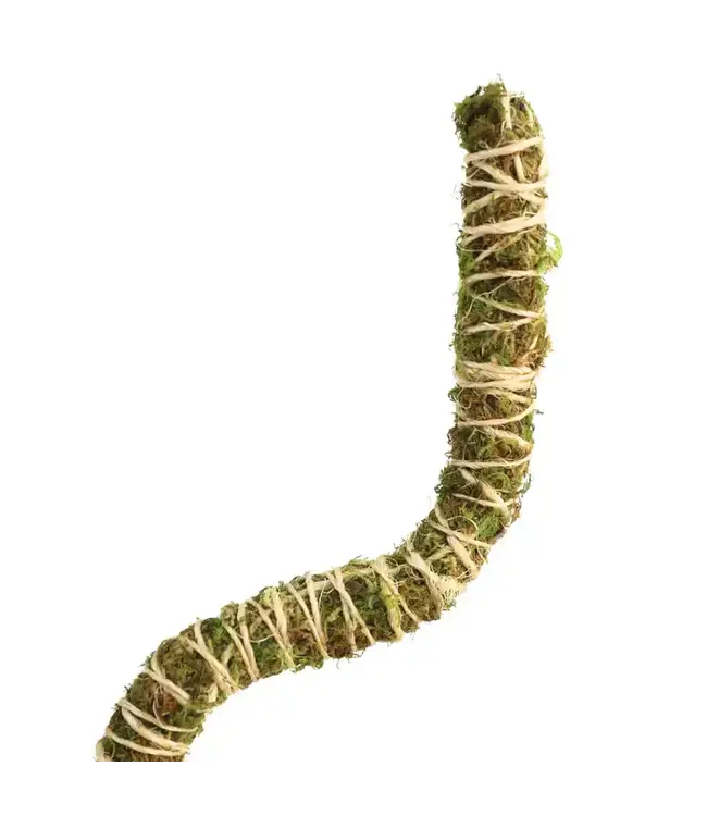 Mossify Bendable Moss Pole Thin 30"