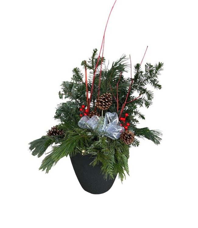 ToniAnn Winter Planter 12"