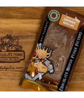 Chocolate Moose Fudge Factory Fudge - Salted Baileys