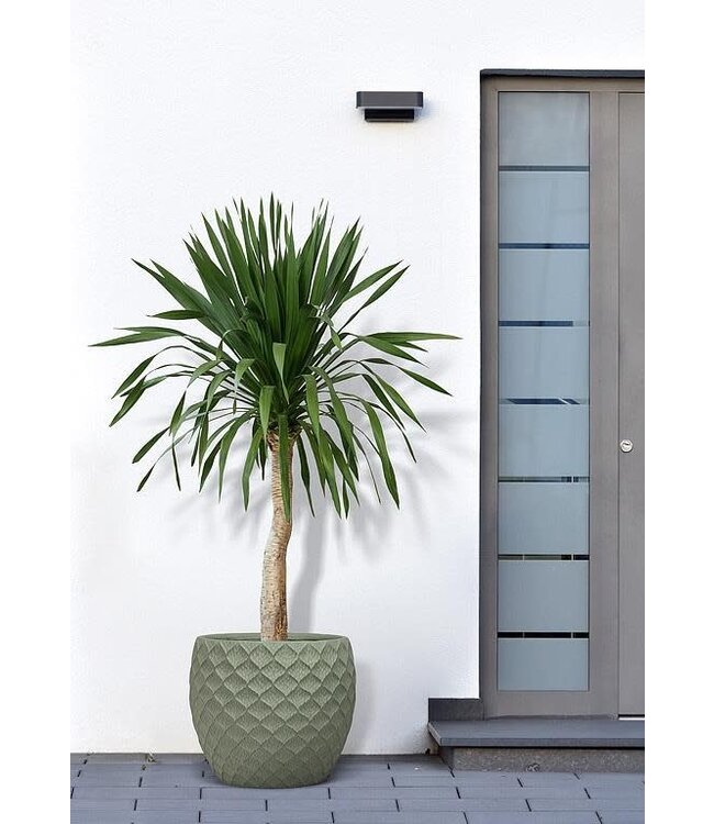 XL Deboss Leaf Planter 13"