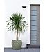 XL Deboss Leaf Planter 13"