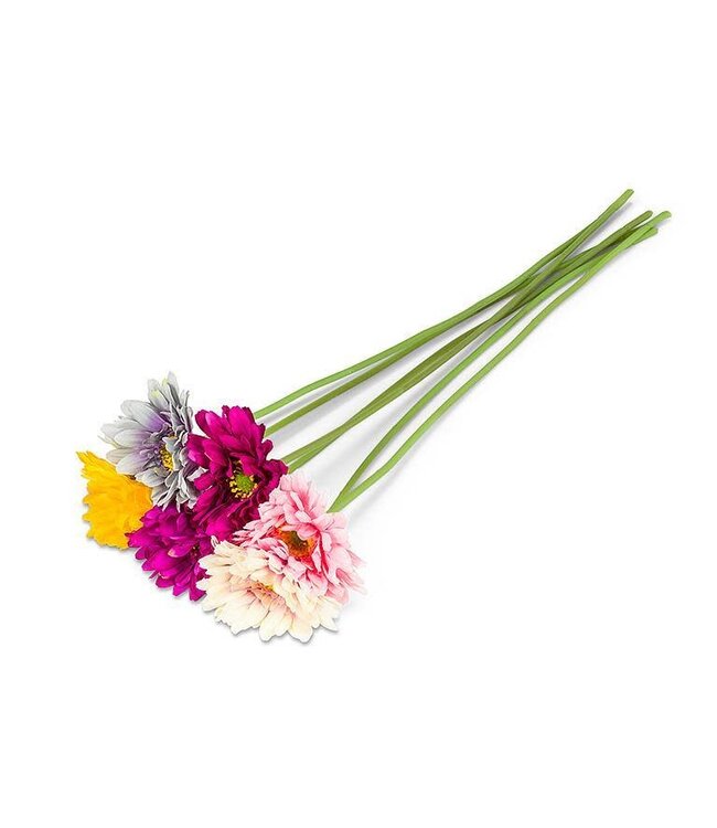 Long Gerbera Daisy Stem