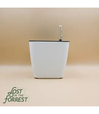 Lost in the Forrest Litf Self-Watering Pot 5.5" White