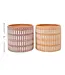 Truu Design Naya Ceramic Planter Medium
