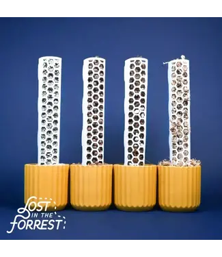 Lost in the Forrest Litf Stackable Support Pole Medium 16"