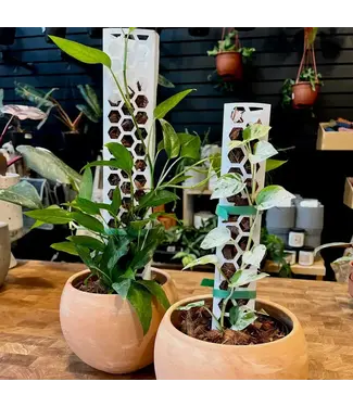 Lost in the Forrest Litf Stackable Support Pole Small 14"
