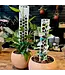 Litf Stackable Support Pole Small 14"