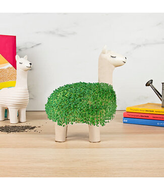 GIFT REPUBLIC - CANADA Llama Planter w/ Seeds