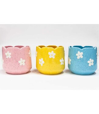 Splash Ceramic Flower Pot Asst. Colours