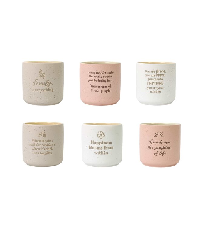 Positive Planter Pot Asst.