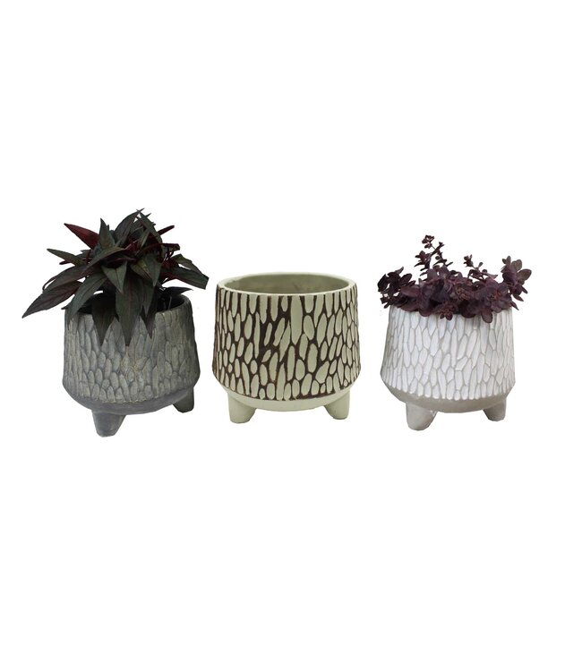 Cement Pot w/ Legs Asst. Colours