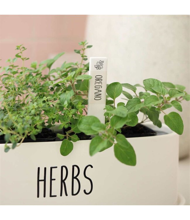 Home Grown Herb Labels Asst.