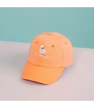 Party Mountain Paper co. Here Comes Trouble Baseball Kids Hat