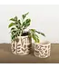 Beige Terracotta Flower Pot Small